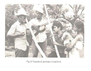 e-Guanacaste_Página_2.jpg